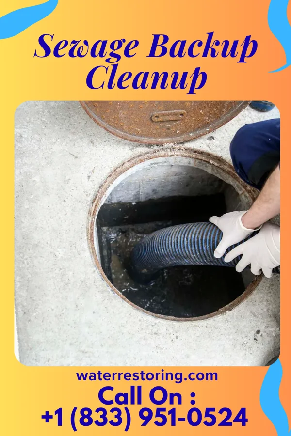 Sewage Backup Cleanup in Junction, UT